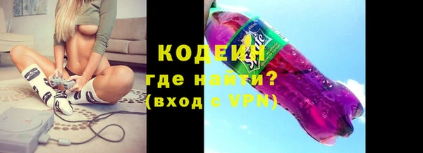 хмурый Алексин