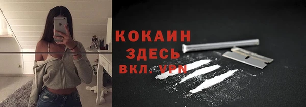 молекула духа Осинники