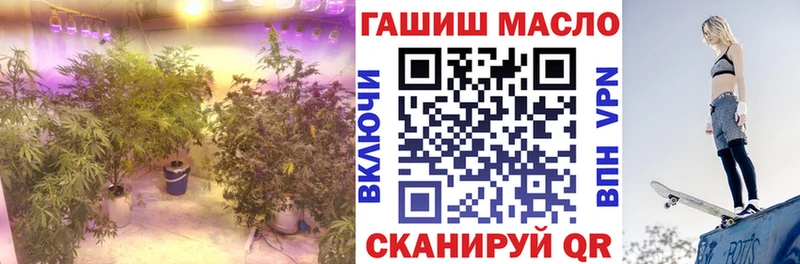 ОМГ ОМГ маркетплейс  Нижний Ломов  ТГК вейп 