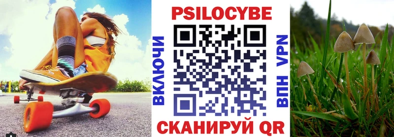 Псилоцибиновые грибы Psilocybine cubensis  Нижний Ломов 